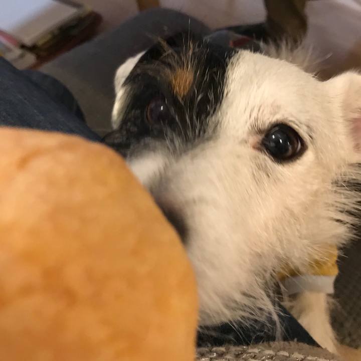 9a05e782 252d 4ee6 8cad 7515cfbaa7a6 1515066548801