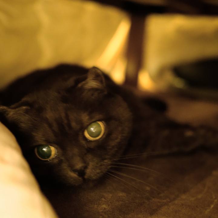 9a061a1b e7e4 42a7 b065 8093c1c84364 1640964725908