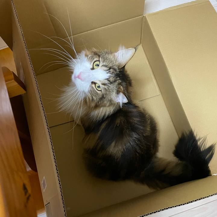 9a0667ef 78c7 43da b856 58e788087330 1670702430812