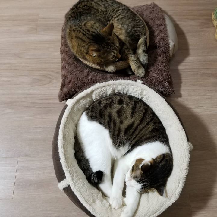 9a067bae 5443 4ed1 87b8 b6187d569e68 1612128970883