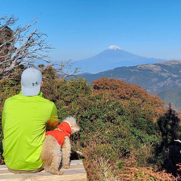 9a0683b9 b46f 47f0 af83 255217cd7226 1703853630461