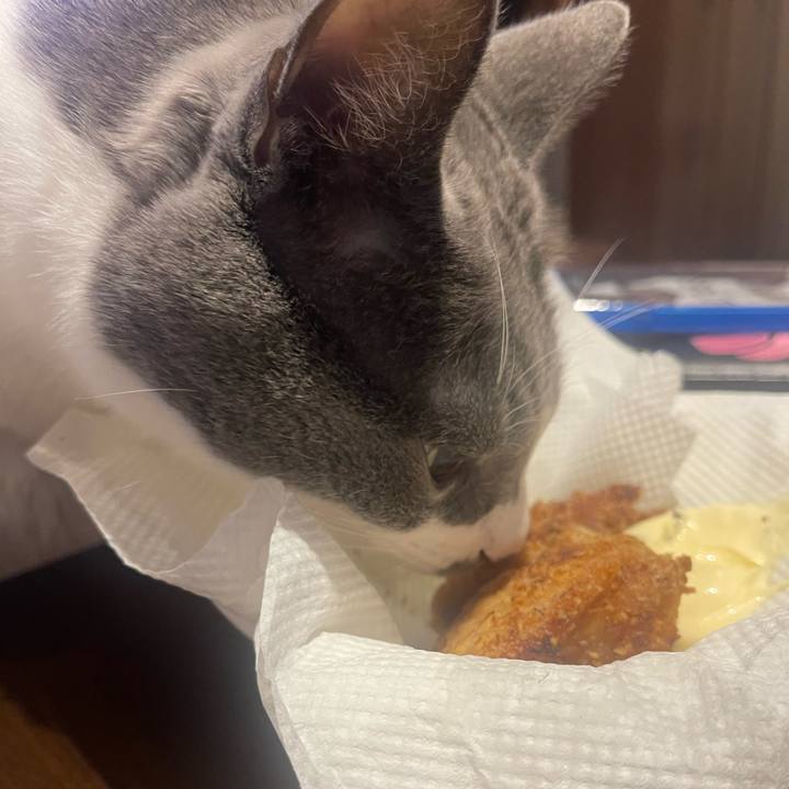 9a06bff0 23dd 4b07 8d5c 2f4546b84a45 1697628113593