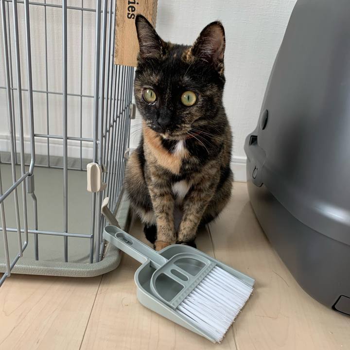 9a06e7c2 c2f5 4481 88ad b5c9d3a8cc30 1577600683609