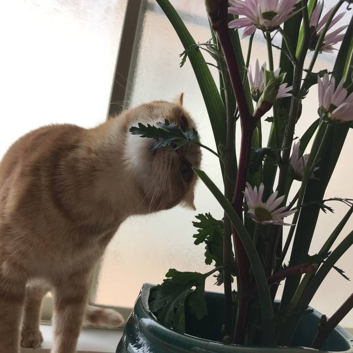 9a0703c4 1da7 4aba 869b c51188dfea3c 1518741662997