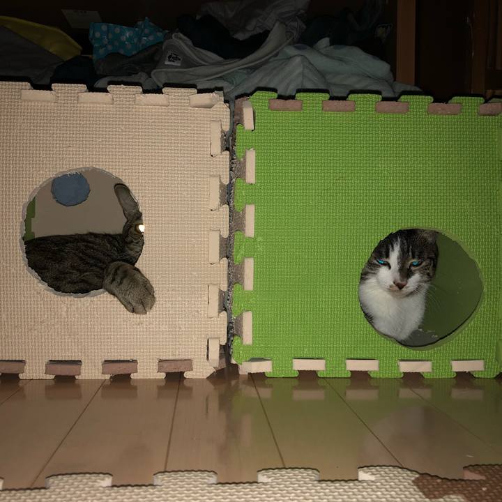 9a073854 6c33 4e5e 861f 503b63006685 1523602486383