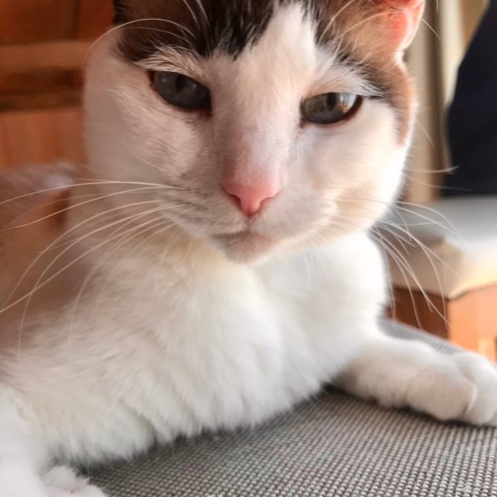 9a075d4e 8ea7 4b65 a8c1 3b09a3b94c3d 1583479819625