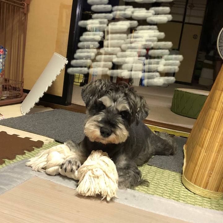 9a076740 4530 4b69 9f7a d0ced6756872 1633008620567