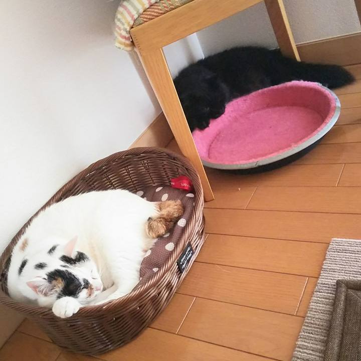 9a07ad6c 0c8c 4266 93b3 cb178fce0c5e 1530600948023