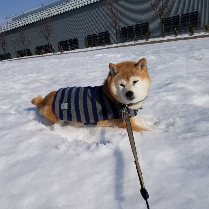 9a07b293 e3c6 48f8 a633 51be1cd62443 1703826271723