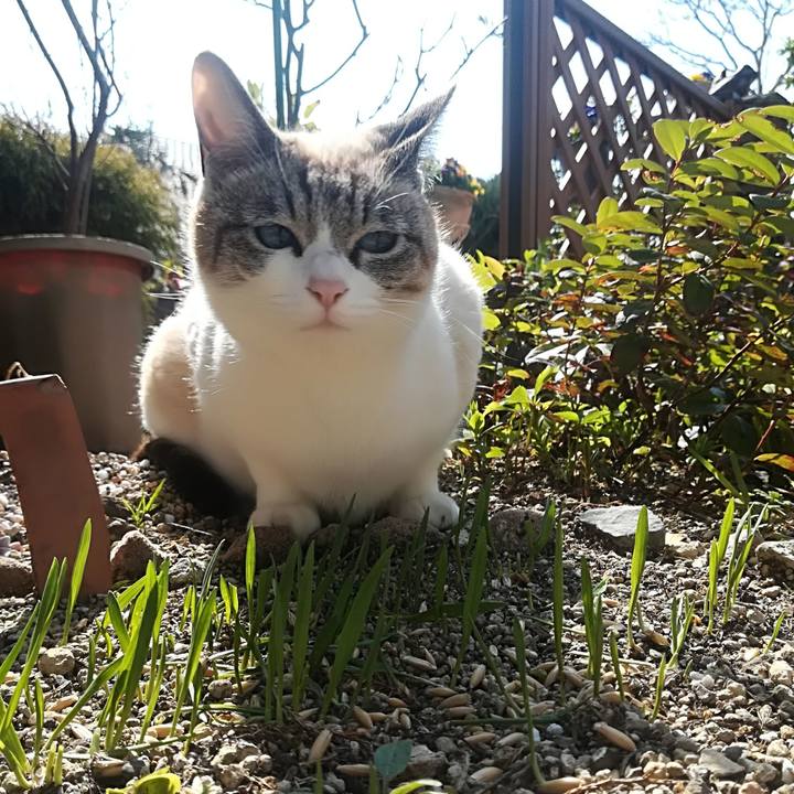 9a07c070 cbbe 4db8 a3f8 243b3d669fc2 1520947228743