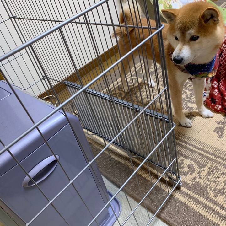 9a07c206 ca88 4366 803d 841ca8c3eef6 1576573389929