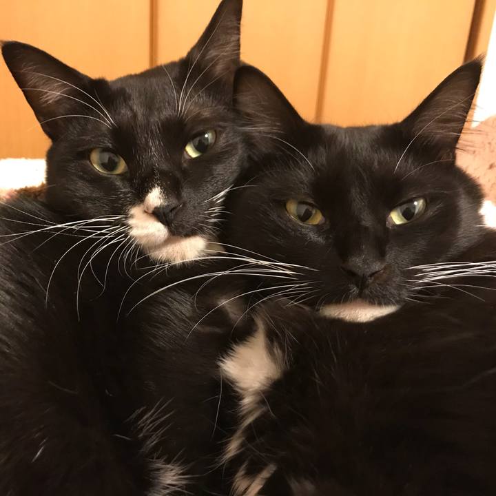 9a07c73c 5c5f 40b6 adec 2f0903bc0fef 1511086587793