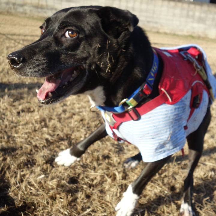 9a07dd60 2ecd 41a7 9075 955e2e9d68b1 1671153514211