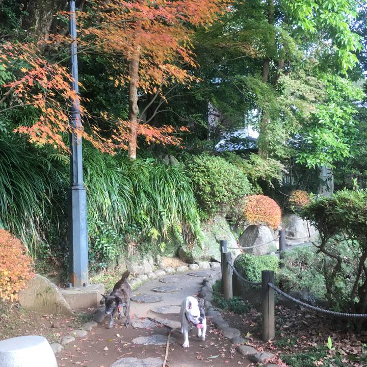 9a07e8ca be85 4f4e 9e5d b9cec08adb78 1545316520270