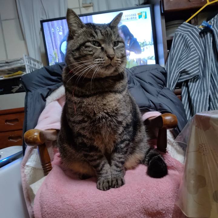 9a07f00c fe8d 4a64 a7e5 4b740cbcf7ba 1673267117902