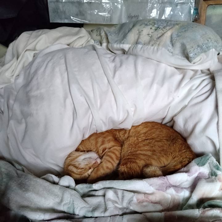 9a07fa6a e2ca 44e6 9285 de4ea90007bf 1717975767288