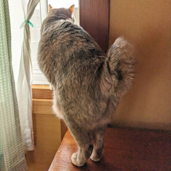 9a08290b 8830 42a9 90a4 d5ff0f9c7ed6 1707714498426