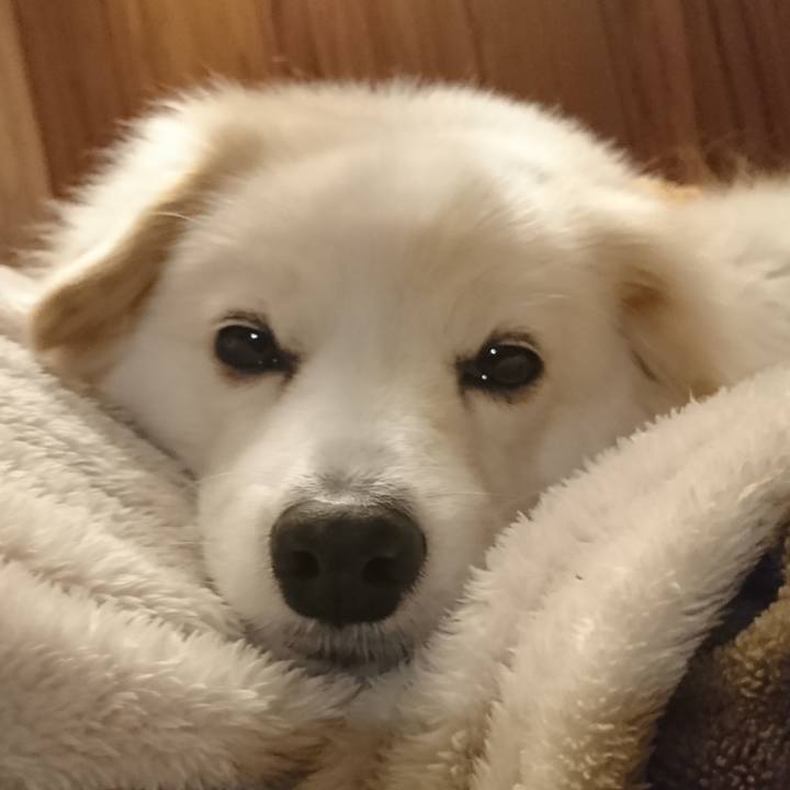 9a08361b 18f9 4123 a099 231102a3fa01 1549899859140