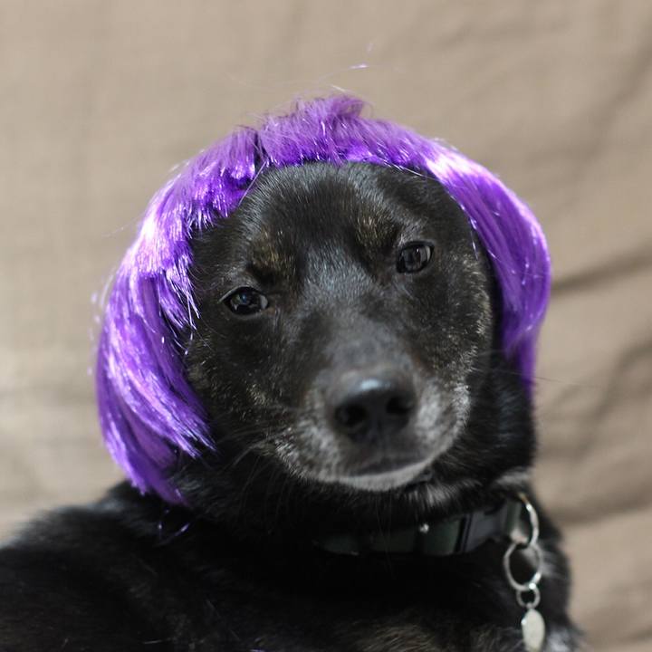 9a084f12 955d 4d48 a43d e535f5620ede 1543976568264