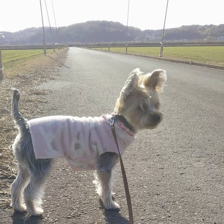 9a0854a9 0427 4ee8 8898 192fffe619ee 1577417426454