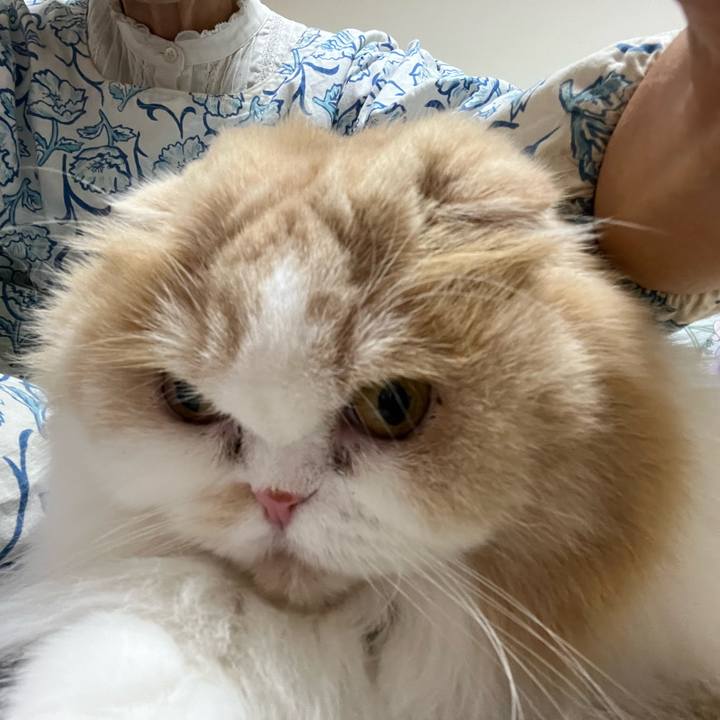 9a087eaf 854d 44bb 95c1 c541f6860418 1698974869236