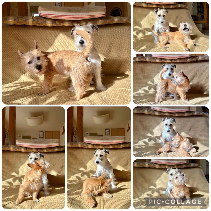 9a088c4b ba49 42d3 b427 07a3c816d672 1706008280167