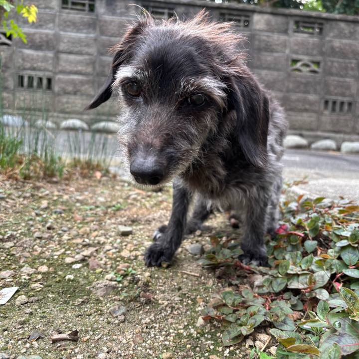 9a089234 d6da 4d1b ada3 696bccd67c68 1757459556187