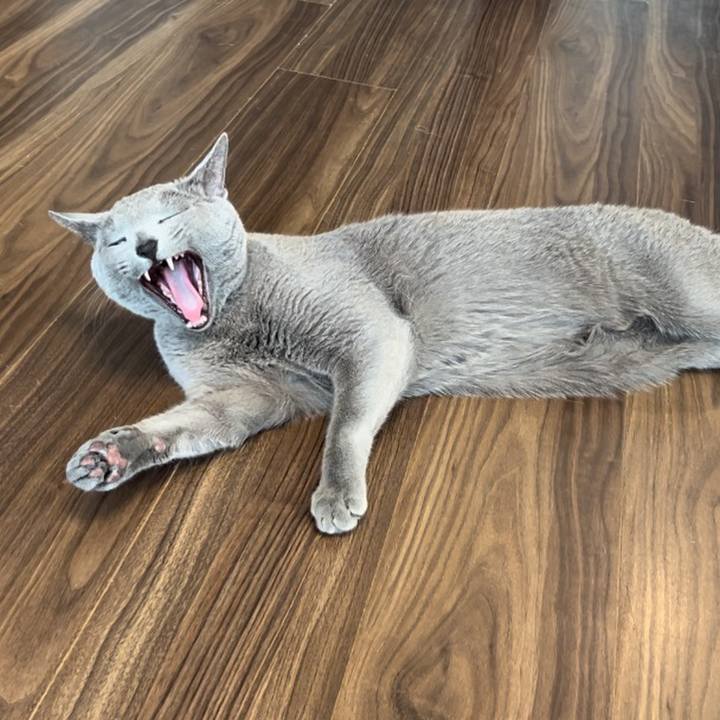 9a090894 e9e7 46ff 93a8 5a285eb22fc0 1739581893768