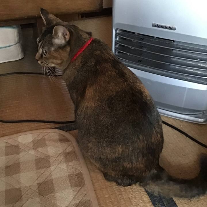 9a090df7 58cb 431d 8843 4e09200d952c 1672182397671