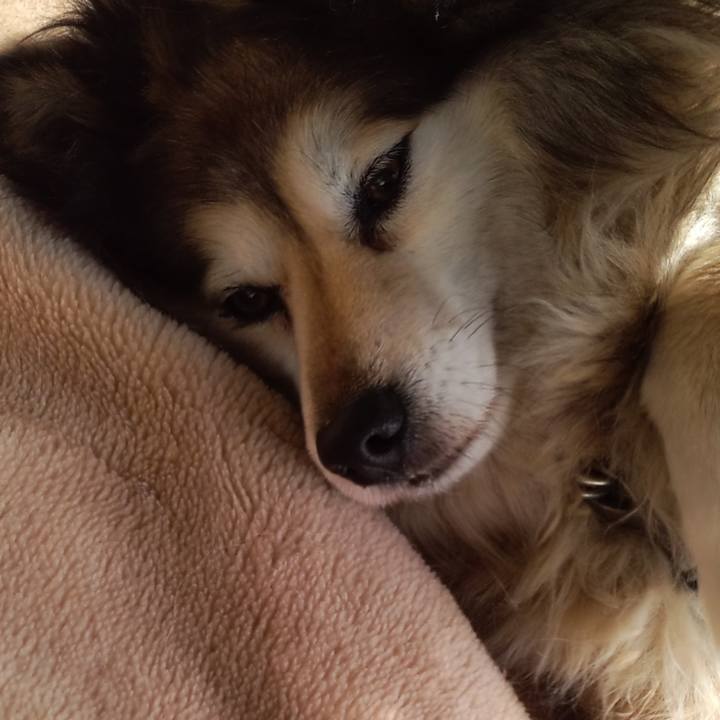 9a090f19 dcae 4a4c 9e52 82cd0a8ffa02 1588890637712