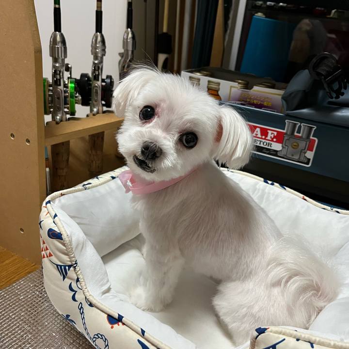 9a09305f 7502 47aa a32d e3939b08b7cb 1695250991361