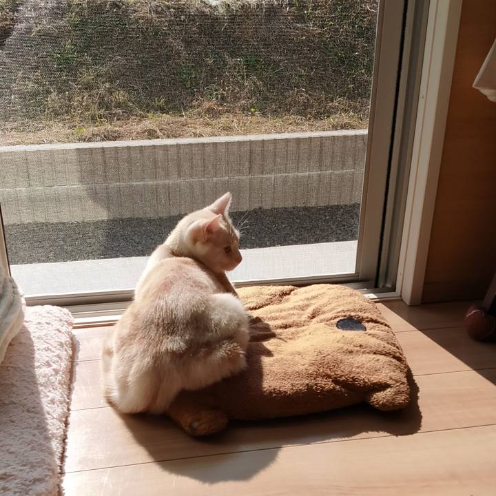 9a094831 296b 4402 a14a 1e82328dc2a0 1667956228547