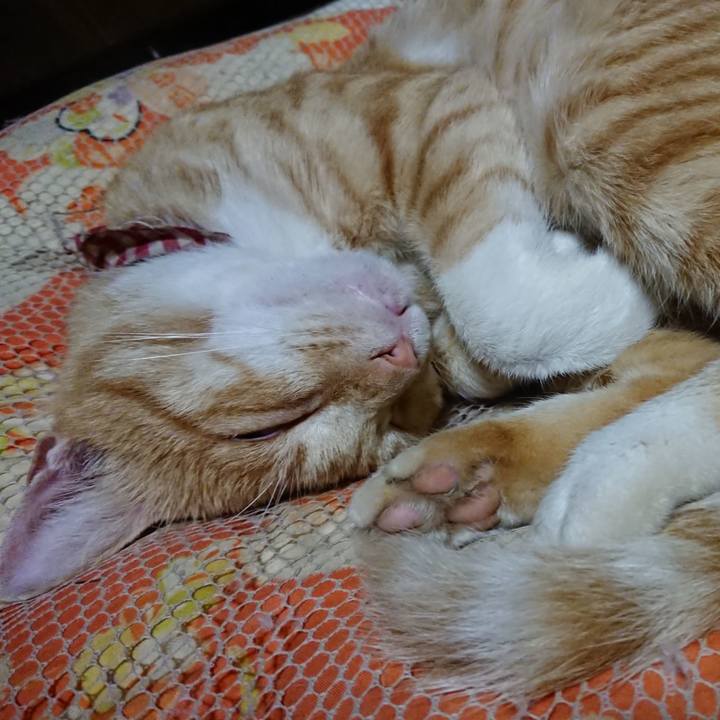 9a097f31 a474 4aee af03 8d61090f1ba6 1561985292092