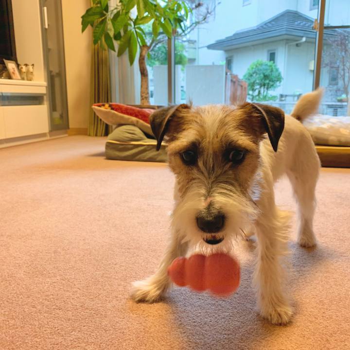 9a098479 e62d 4af4 b76b 09d54aeb804a 1580171480045