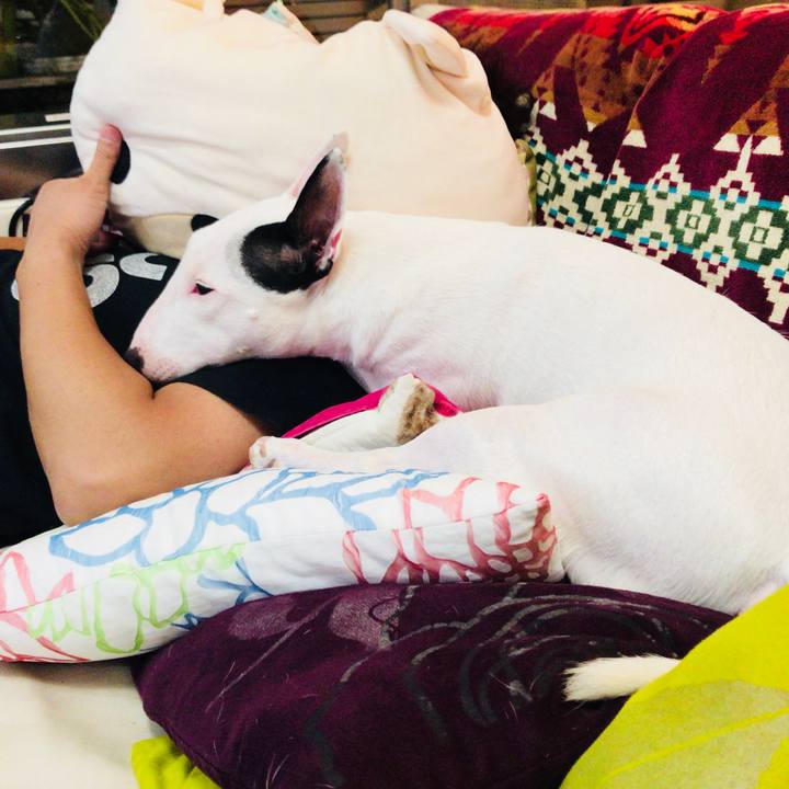 9a099f82 bdd6 487f 8533 bb2964452998 1534474850090