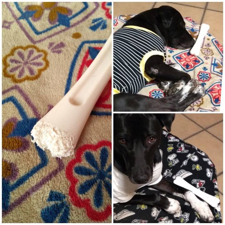 9a09f321 97cd 4319 b75f 3953db29e4b2 1609547833941