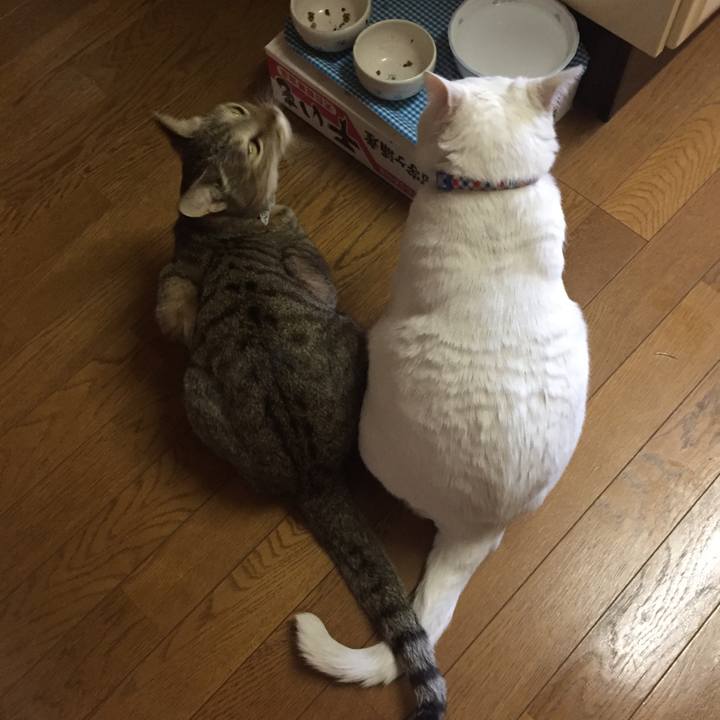 9a0a1c6d a84c 4289 b4b1 2ad1edc82501 1584829088717