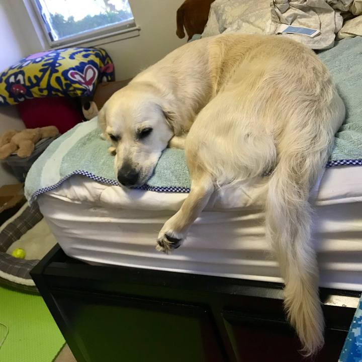 9a0a3c76 41f5 4428 822d 7a3237cdf329 1546968452807