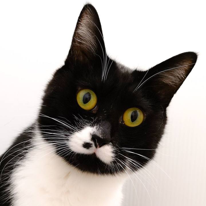 9a0a4965 a925 49ea bad0 0d99d72b9e68 1546865288687