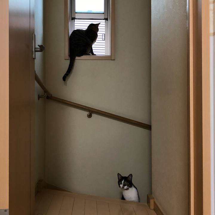 9a0a5442 f31a 4f72 b229 483e3df5a175 1529300645744