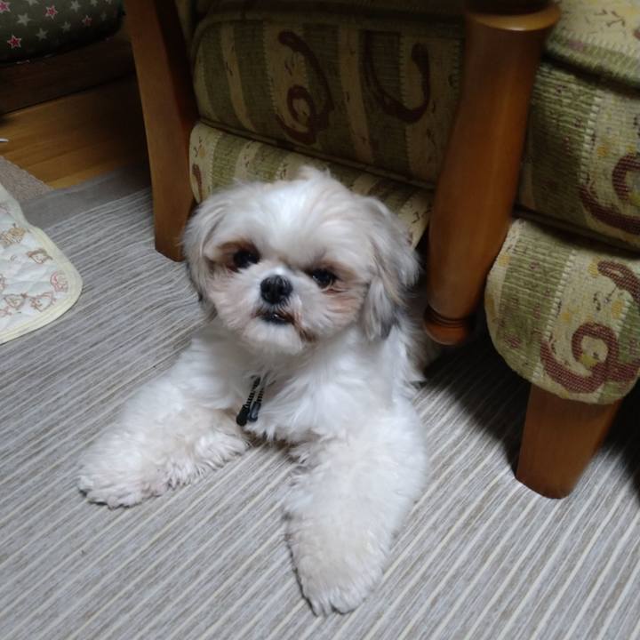 9a0a6cd1 0775 4091 bb00 82632c4cb924 1608980647816