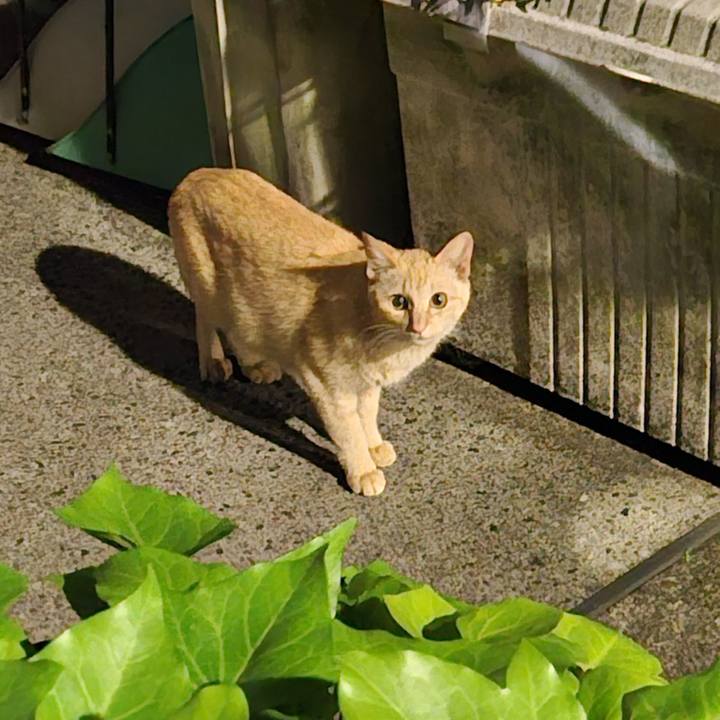 9a0aa7bd ecb6 4f2f b2ba b8bee330017d 1717815449178