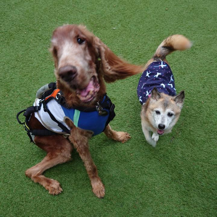 9a0ad15d 9f96 4330 bc86 c19bc48638e1 1726885869796