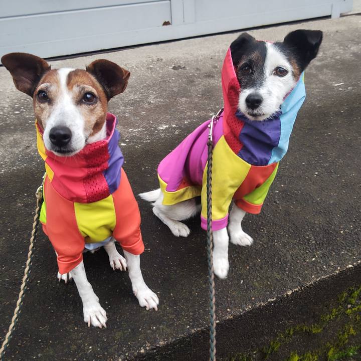 9a0b19ca 76e4 4fa5 ab37 a0c6eff20ea0 1761085825899