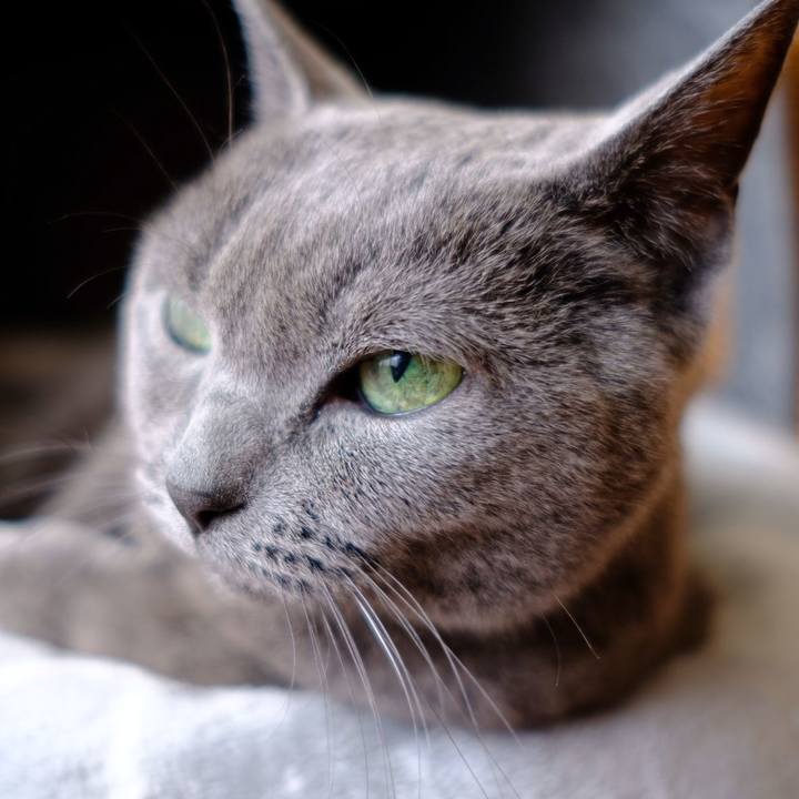 9a0b290e c06f 47c3 aec1 72d069cb4fcc 1574659772696