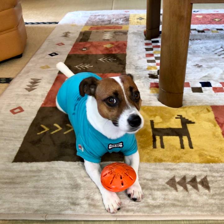 9a0b7f53 c80c 4a9d 8d55 885a1b61fd9d 1598578123543