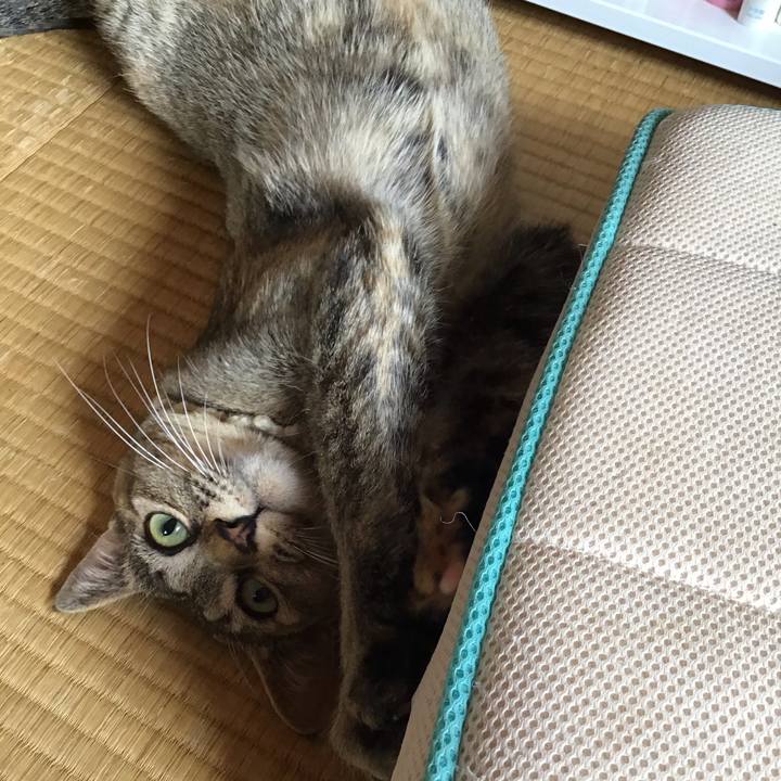 9a0bde31 49f0 4e3e aba1 97df52bfbe18 1589779874409