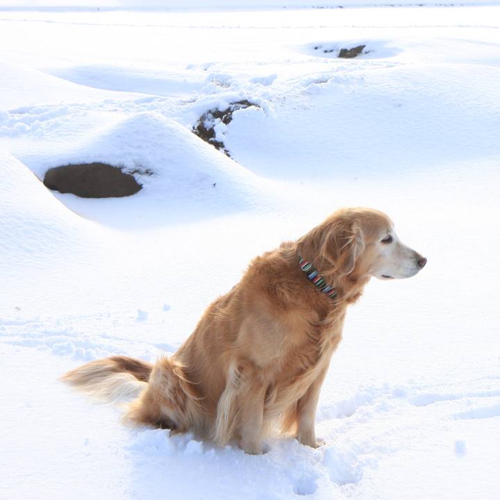 9a0c3c76 d9aa 45f2 9a4c dec973351401 1765701843300