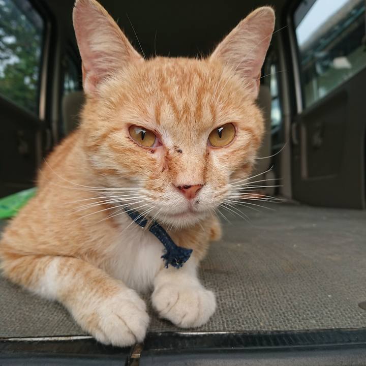 9a0c50f9 ffa2 46ab 9121 4a9284364e9f 1558990376977