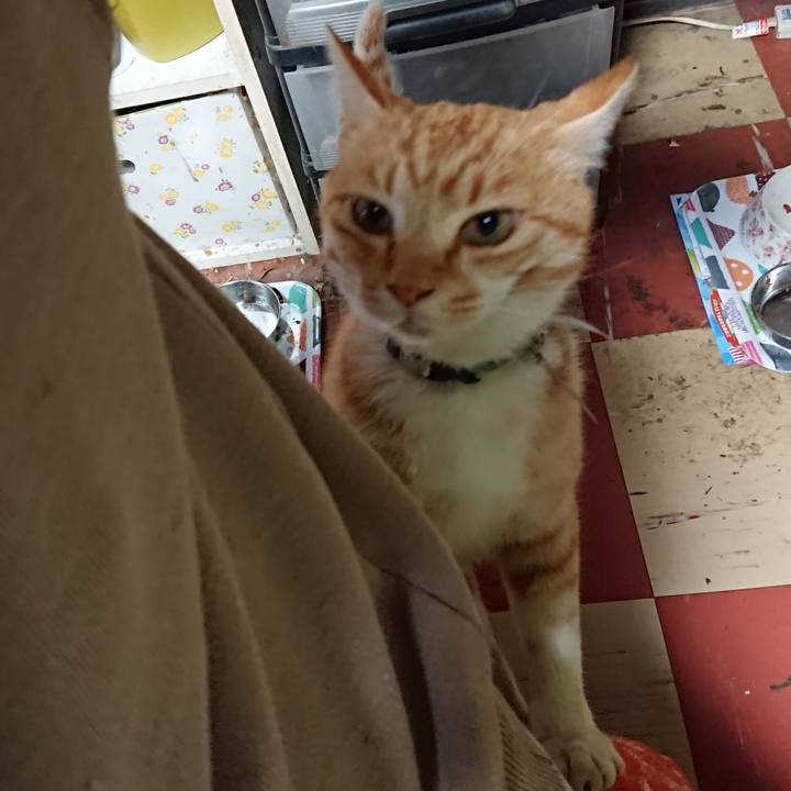 9a0c5cb2 14cd 4fcd 9d96 9964d67db07d 1589401415080